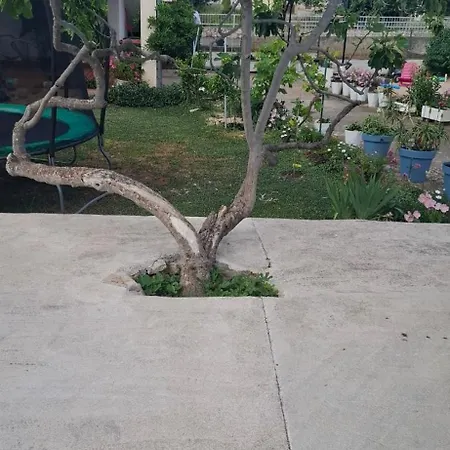 Frane Apartman